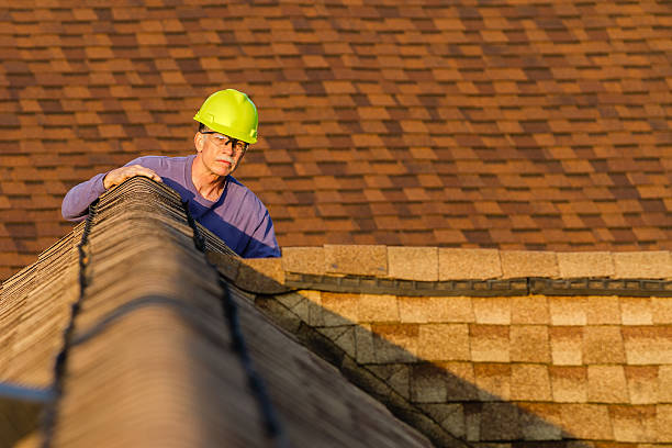 Roof Gutter Cleaning in Harrisburg, AR